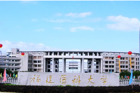 福建医科大学：数据治理崭新启航，匠心绘制数据生态蓝图！